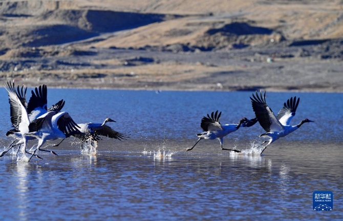 f44d30758ab0231bfbfa4b