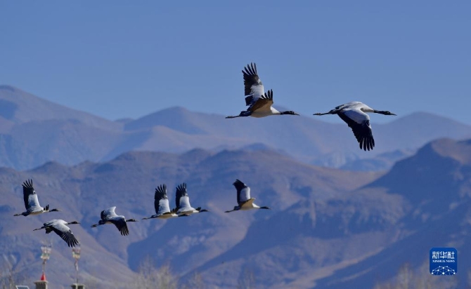 f44d30758ab0231bfbfb4c