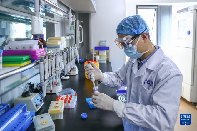 1128155459_16392842608261n