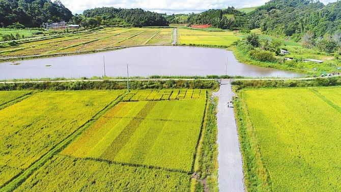 微信图片_20211217090243