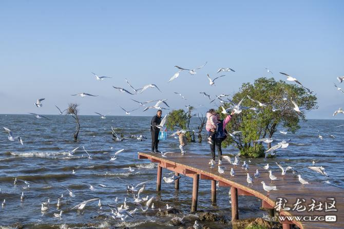 01tmt3t5z0gi 01tmt3t5z0gi