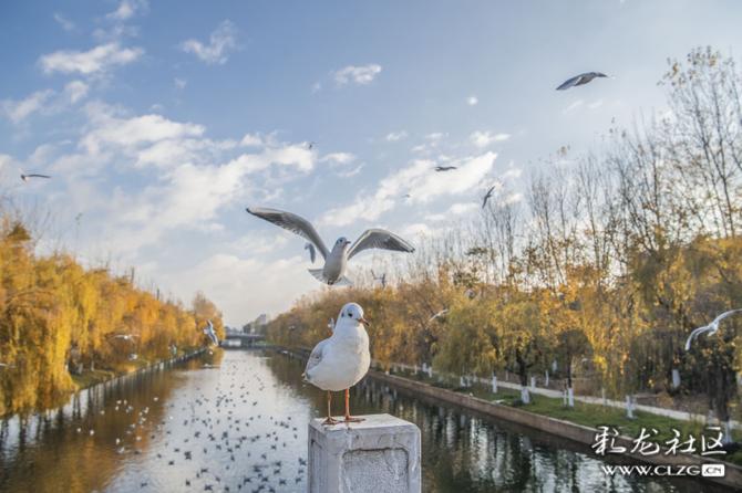 3b7852evynv 3b7852evynv