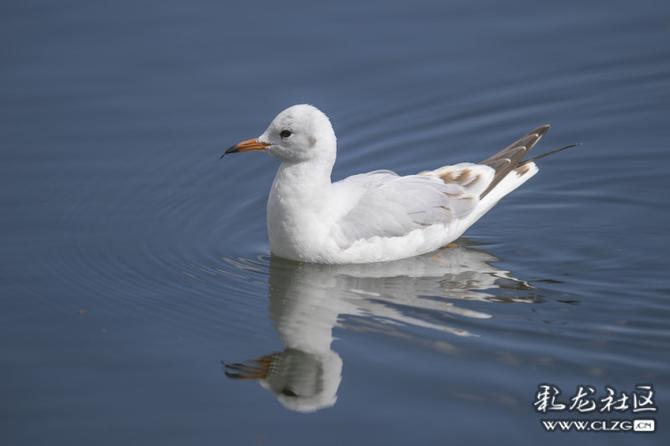 4blyyn4jwo5 4blyyn4jwo5