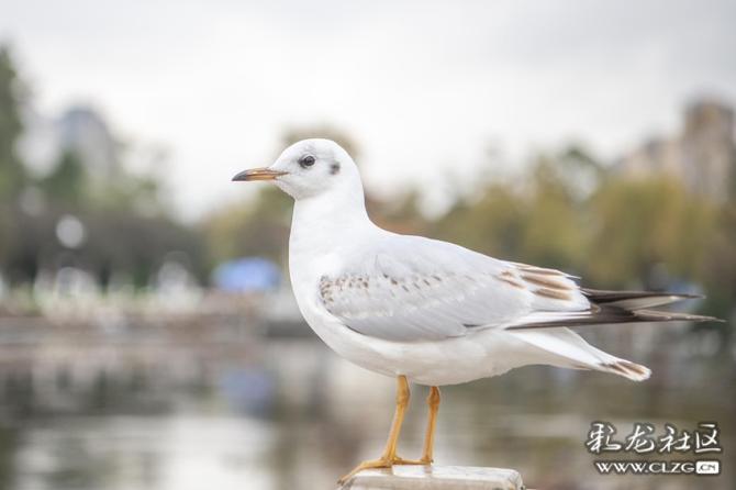 8ejqc6c6wo8 8ejqc6c6wo8