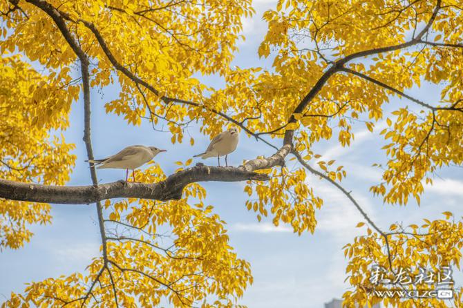 an9l9g3nfa an9l9g3nfa