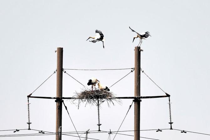 1128170942_16396593010651n 1128170942_16396593010651n