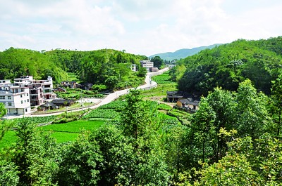 “红土地”上的“绿色奇迹”:治理的是水土,改善的是民生 “红土地”上的“绿色奇迹”:治理的是水土,改善的是民生