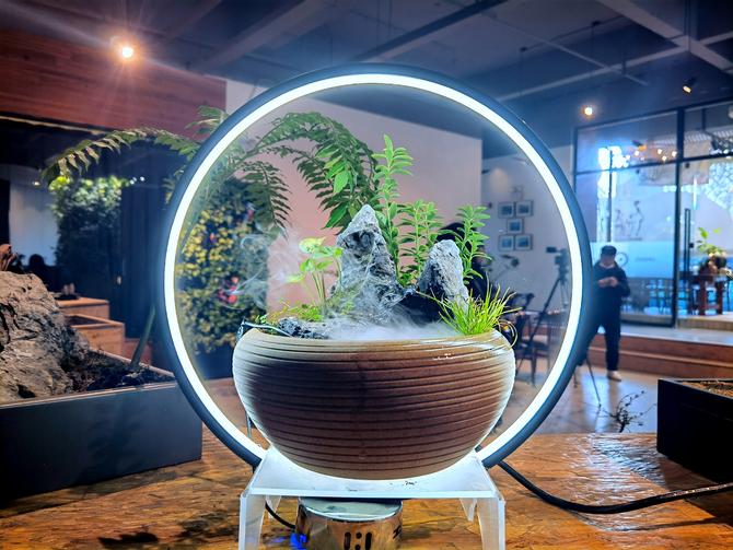 IMG_20211220_165041_副本