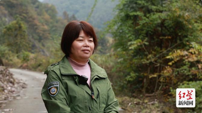 点击查看高清原图 点击查看高清原图