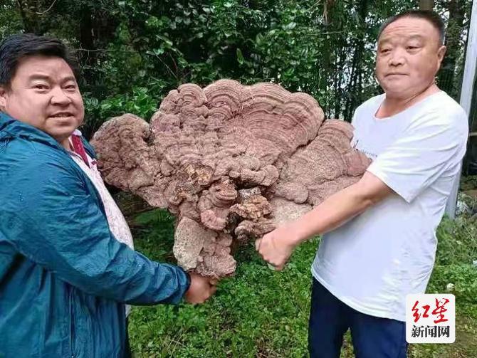 点击查看高清原图 点击查看高清原图