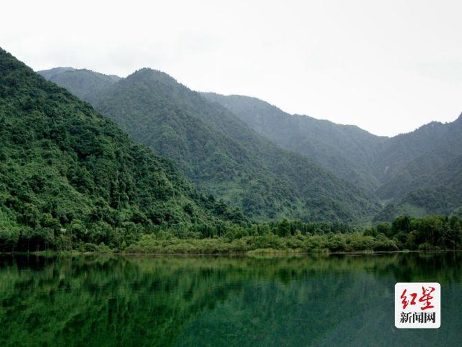 点击查看高清原图 点击查看高清原图