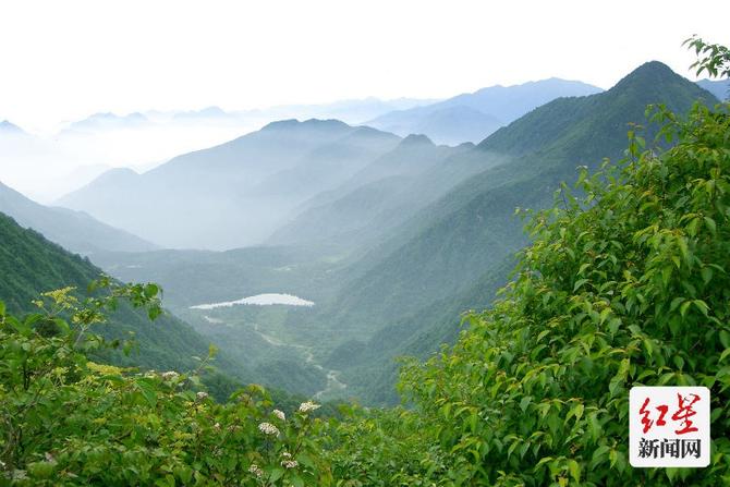 点击查看高清原图 点击查看高清原图