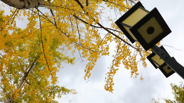 开屏策划｜冬至云南—保山施甸（开屏新闻记者及通讯员 摄）