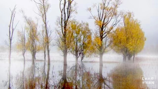 开屏策划｜冬至云南—会泽念湖（开屏新闻记者及通讯员 摄）