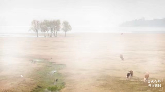 开屏策划｜冬至云南—会泽念湖（开屏新闻记者及通讯员 摄）