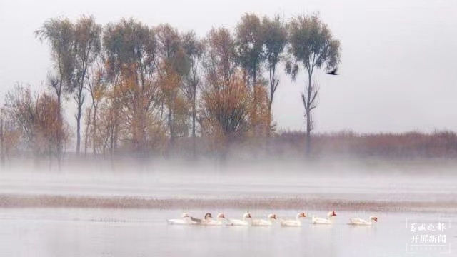 开屏策划｜冬至云南—会泽念湖（开屏新闻记者及通讯员 摄）