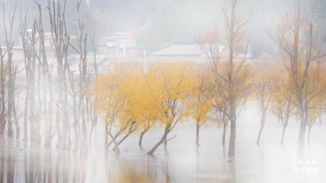 开屏策划｜冬至云南—会泽念湖（开屏新闻记者及通讯员 摄）