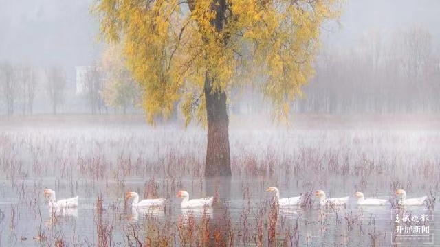 开屏策划｜冬至云南—会泽念湖（开屏新闻记者及通讯员 摄）