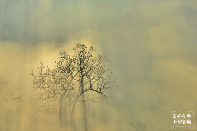 开屏策划｜冬至云南—保山昌宁雾海（开屏新闻记者及通讯员 摄）