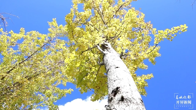 开屏策划｜冬至云南—保山施甸（开屏新闻记者及通讯员 摄）