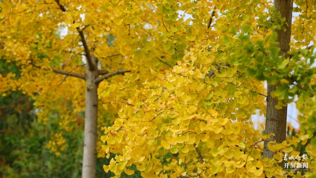 开屏策划｜冬至云南—保山施甸（开屏新闻记者及通讯员 摄）