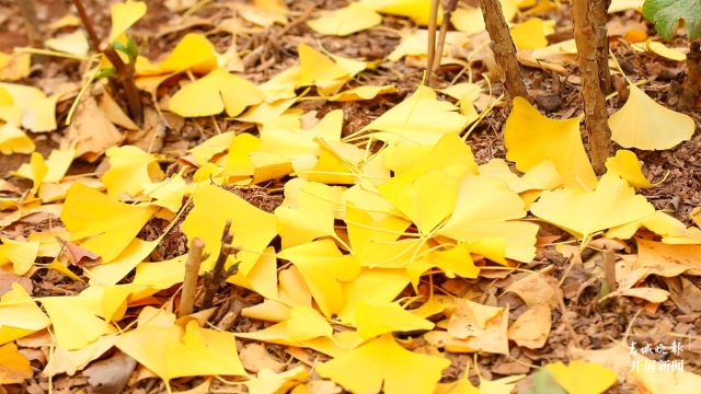 开屏策划｜冬至云南—保山施甸（开屏新闻记者及通讯员 摄）