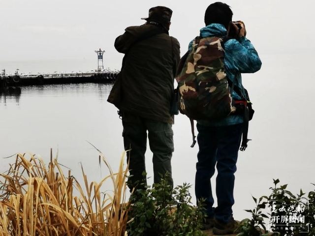 今年到昆海鸥达44000只 (1).jpg