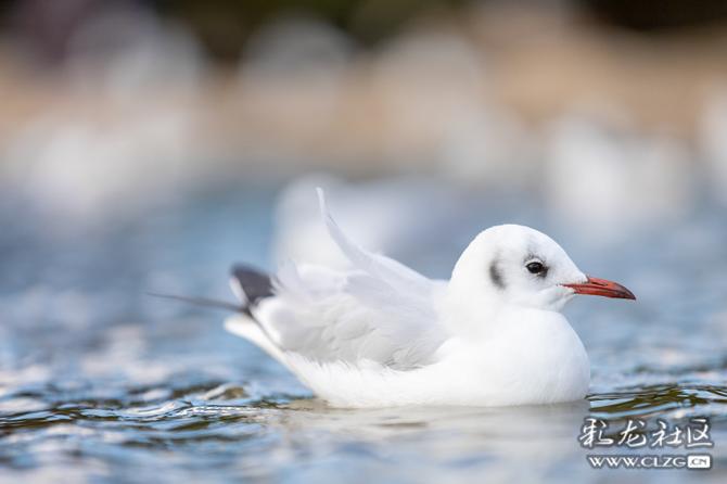 gktt83isr9 gktt83isr9