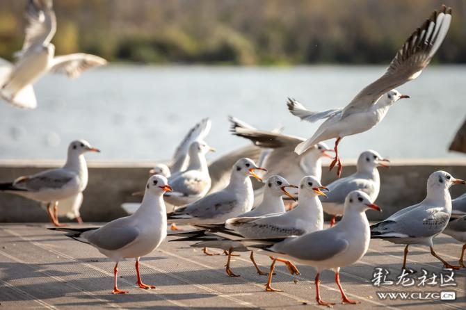 fhjmstmhz2q fhjmstmhz2q