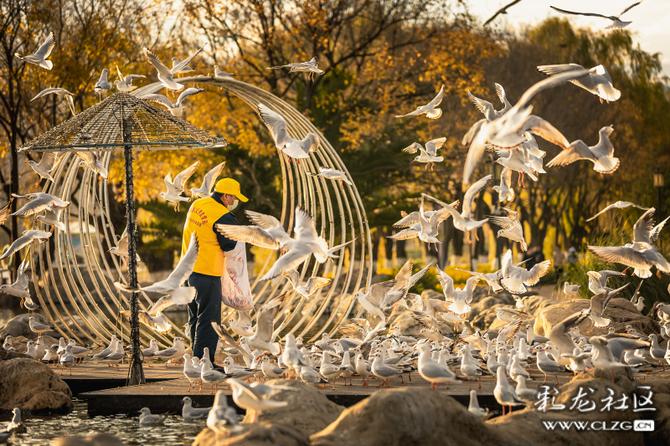 4sdvc4cqz3v 4sdvc4cqz3v