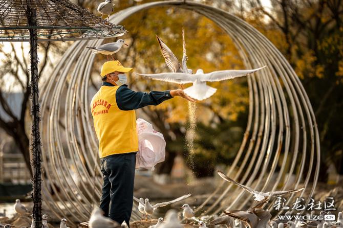 msabhupsmwg msabhupsmwg