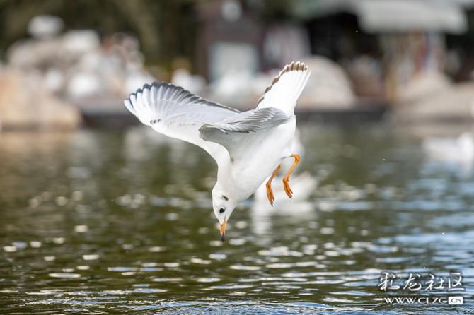 iv6p9lgy3ck iv6p9lgy3ck