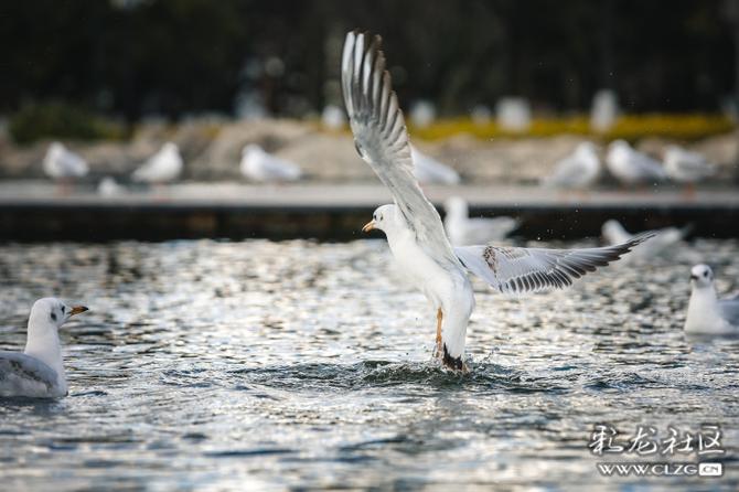 s3p99tgt2rb s3p99tgt2rb