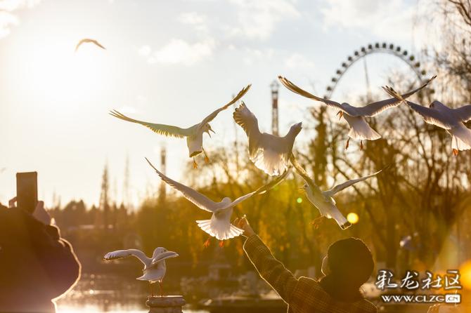 53pq4t0d7md 53pq4t0d7md