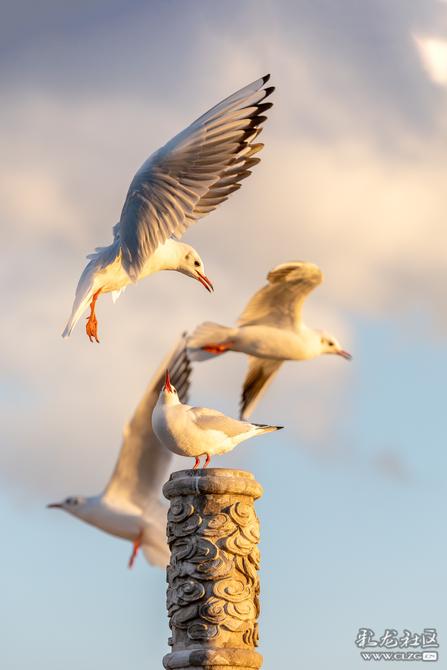 ji44mglybui ji44mglybui