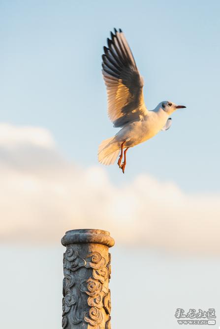 b6d5y5pw615 b6d5y5pw615