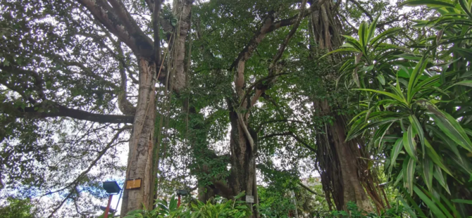 微信图片_20211227232520 微信图片_20211227232520