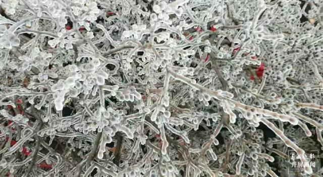 昭通雪景(开屏新闻记者 申时勋 通讯员 白鸟 戴虞梦 陈光惠 摄)