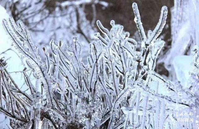 昭通雪景(开屏新闻记者 申时勋 通讯员 白鸟 戴虞梦 陈光惠 摄)