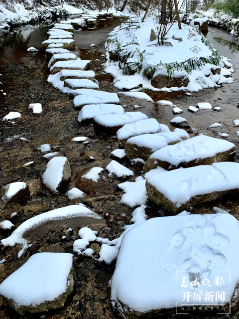 昭通雪景(开屏新闻记者 申时勋 通讯员 白鸟 戴虞梦 陈光惠 摄)