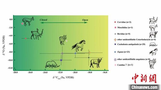 麻地沟遗址动物群生态位重建。 徐哲 供图 麻地沟遗址动物群生态位重建。 徐哲 供图