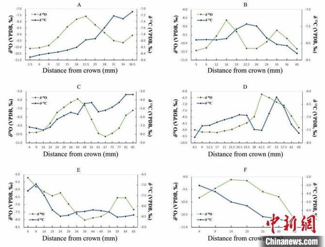 序列取样的两类相关值分布图。 徐哲 供图 序列取样的两类相关值分布图。 徐哲 供图