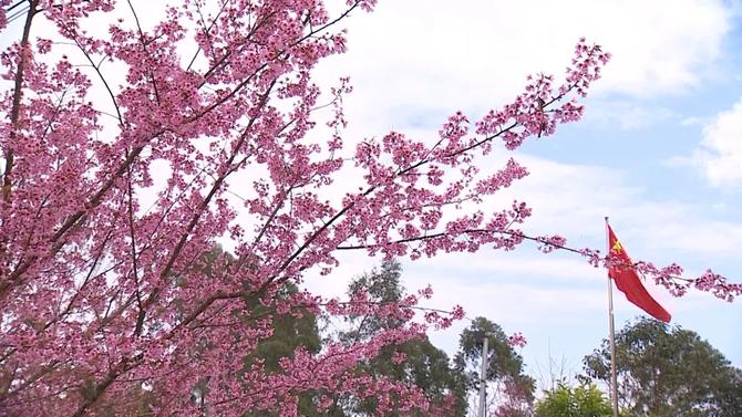 微信图片_20211228180118