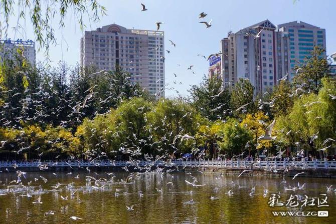 16405235555200863074723613910_5504