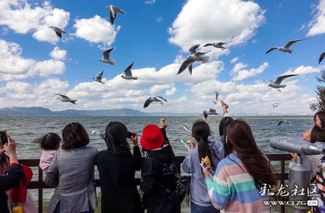 16405235558043653805667048749_5504