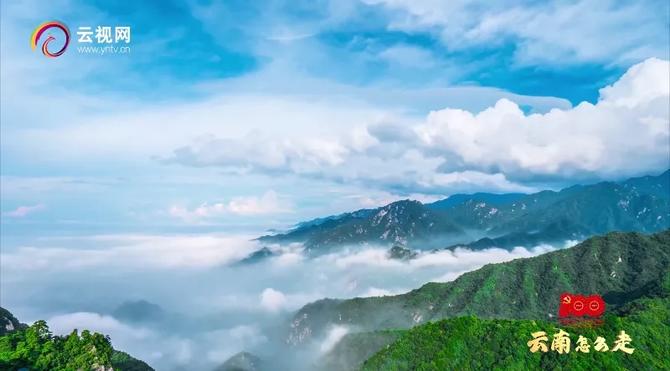 微信图片_20211229180230 微信图片_20211229180230