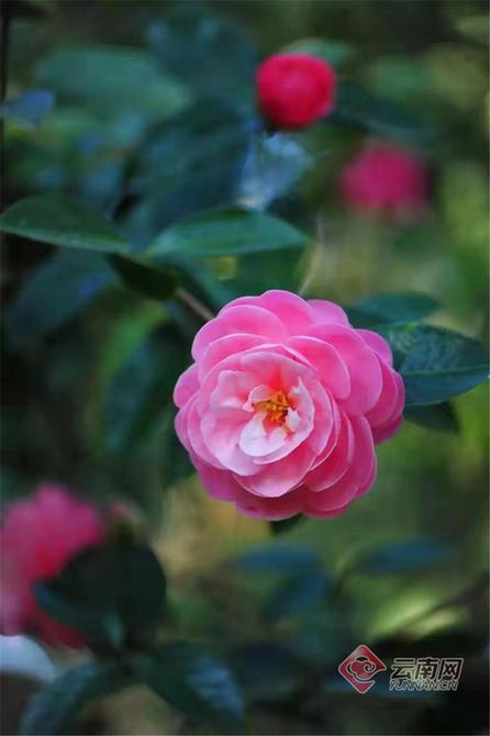 00304378767_78863ff5 00304378767_78863ff5