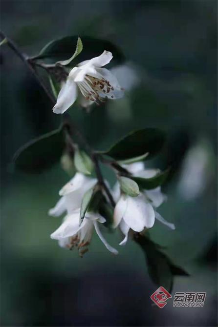 00304378768_83372592 00304378768_83372592