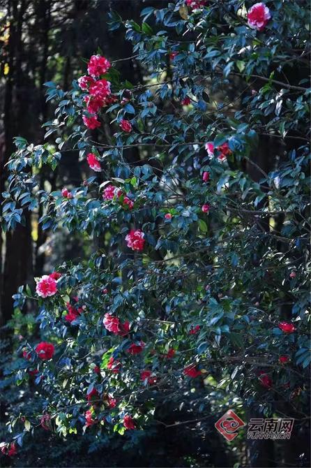 00304378770_76db5203 00304378770_76db5203