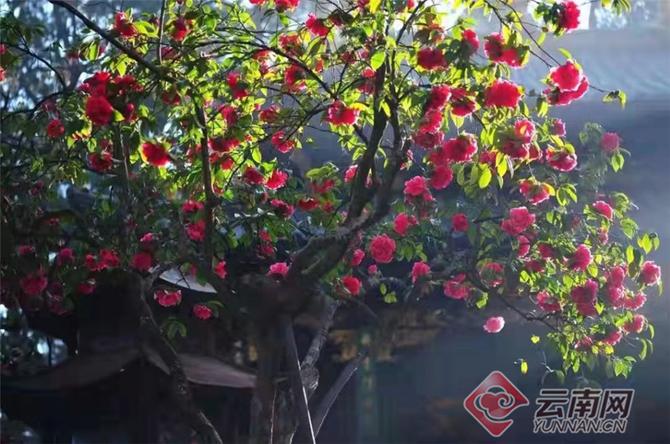 00304378769_bbf5877d 00304378769_bbf5877d